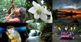 FLORA Y FAUNA 1