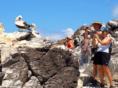 TURISTAS