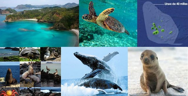 FAUNA